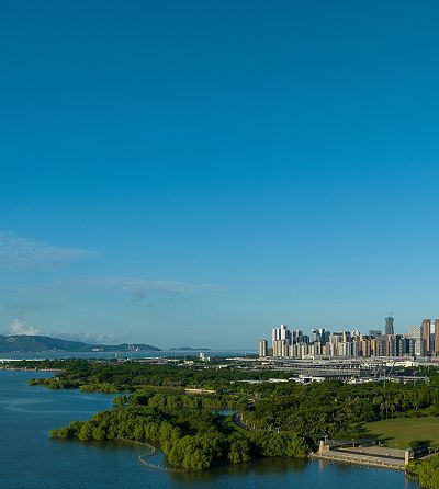 Why is Austin the next perfect destination for Homeowners?